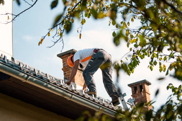 Best Flat Roof Repair Services  in Great Notch, NJ