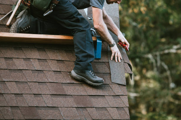 Best Roof Gutter Cleaning  in Great Notch, NJ